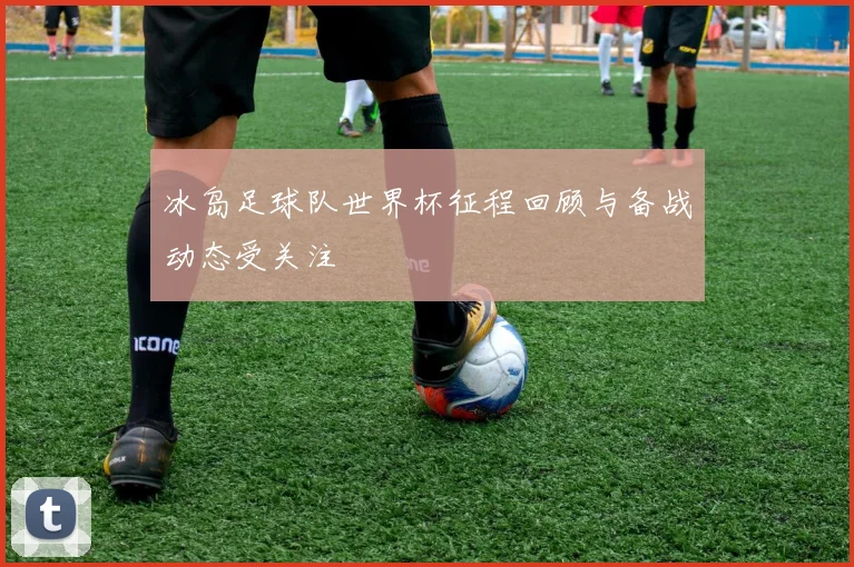 冰岛足球队世界杯征程回顾与备战动态受关注