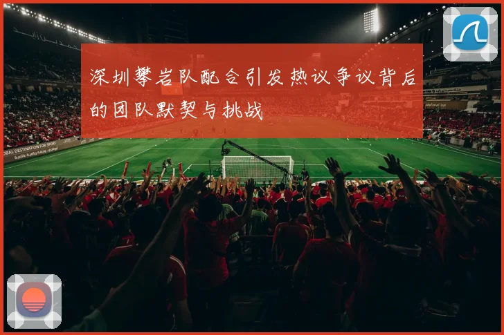 深圳攀岩队配合引发热议争议背后的团队默契与挑战