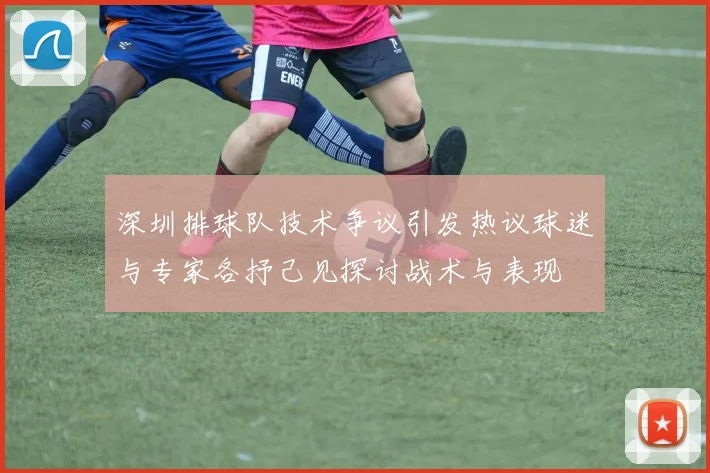 深圳排球队技术争议引发热议球迷与专家各抒己见探讨战术与表现