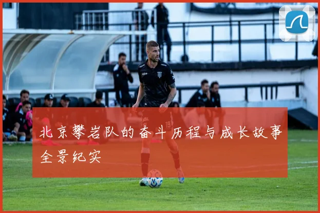 北京攀岩队的奋斗历程与成长故事全景纪实